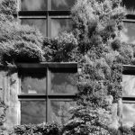 Federal & State Environmental Compliance Federal & State Environmental Compliance